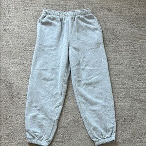 American Eagle Outfitters Gray Joggers with Elastic Cuffs
